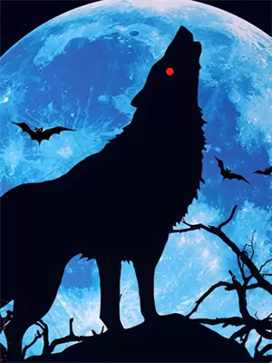 爱你成瘾成疯又成魔歌词