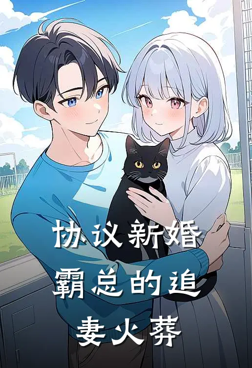 协议新婚：霸总的追妻火葬